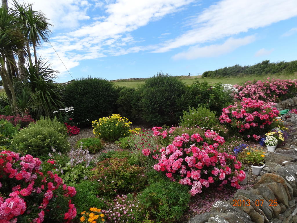 Atlantic View B&B Liscannor Exterior photo